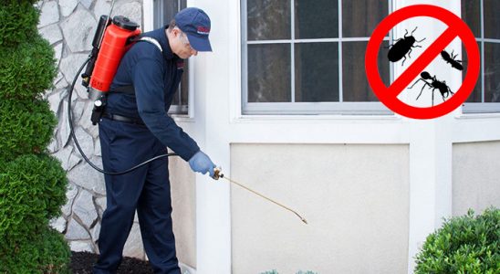 Türkeli Kene İlaçlama böcek ilaçlama ve haşere kontrolü — ilaclama-tr.com